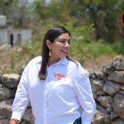 Ni salud ni seguridad merecen ser politizados: Vida Gómez Herrera