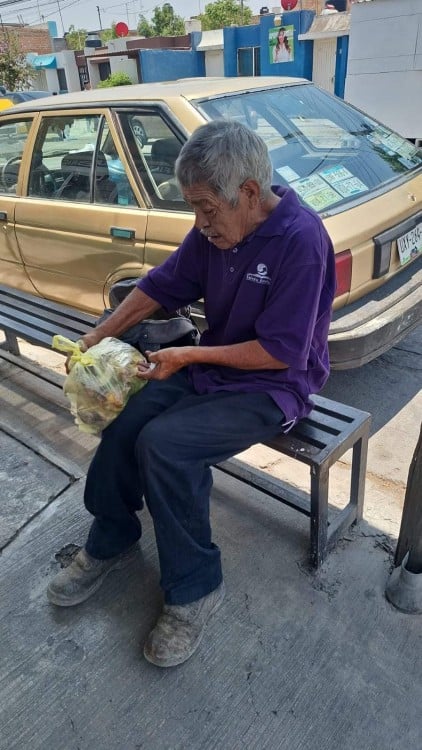 Entre lágrimas, Don Evaristo solicitó el apoyo de los usuarios de las redes sociales para encontrar un refugio temporal para su perrita y los cachorros