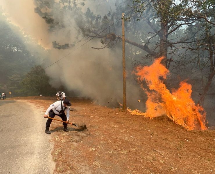 incendios forestales