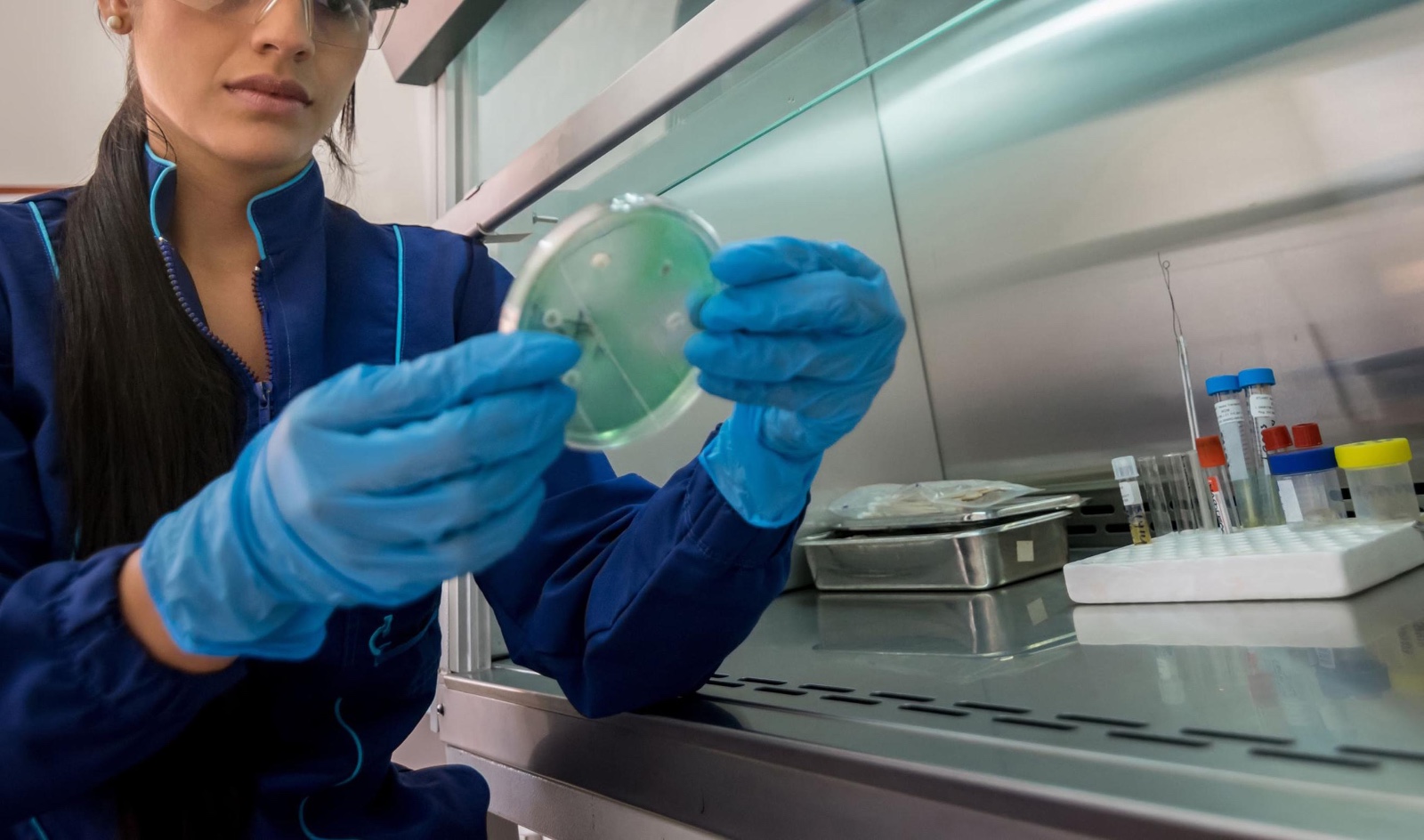 empresas involucradas